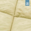 Picture of Ai BY AKEMI Colourkissed 620TC Comforter Set – Lime Green (SS/Q/K)