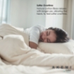 Picture of AKEMI Cotton Select Affinity Sage Box 880TC Fitted Bedsheet Set - Off White (SS/Q/K)