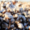 Picture of AKEMI Cotton Select Colour Array Pillow Case- Seed Beige (51cm x 76cm)