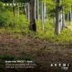 Picture of AKEMI Tencel Modal Earnest 880TC Quilt Cover Set - Draven Stripes Amber Brown (SS/Q/K)