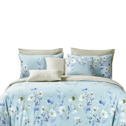 Picture of AKEMI Cotton Select Adore Fitted Sheet Set 730TC - Floella (Super Single/ Queen/ King)
