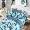 Picture of AKEMI Cotton Essentials Enclave Joy Comforter Set 700TC (Super Single/ Queen/ King)- Kaitriona