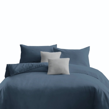 Picture of ai by AKEMI ColourJoy Collection Comforter Set 550TC  - Pigeon Blue (Super Single/Queen/King)