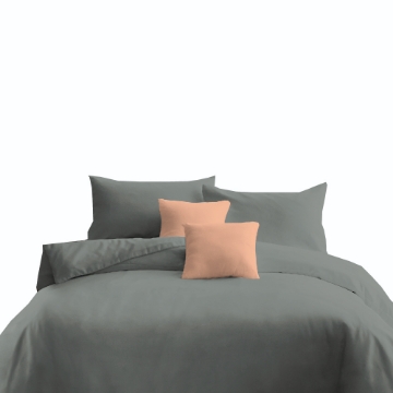 Picture of ai by AKEMI ColourJoy Collection Comforter Set 550TC - Coin Grey (Super Single/Queen/King) 