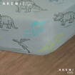 Picture of AKEMI Cotton Essentials Jovial Kids Comforter Set 650TC - Dino Vocabulary (Super Single/ Queen/ King)