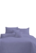 Picture of AKEMI Cotton Essentials Colour Home Divine Fitted Sheet Set 650TC (Super Single/ Queen/ King)