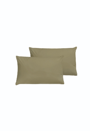 Picture of AKEMI Cotton Essentials Colour Home Divine Pillow Case 650TC - Olive Green (2pc)