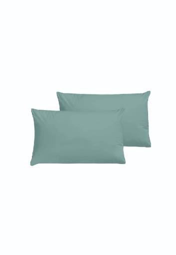 Picture of AKEMI Cotton Essentials Colour Home Divine Pillow Case 650TC - Lake Turquoise (2pc)