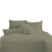 Picture of AKEMI Cotton Essentials Colour Home Divine Fitted Sheet Set 650TC (Super Single/ Queen/ King) - Powder Olive