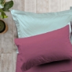 Picture of ai by AKEMI ColourJoy Collection Fitted Sheet Set 550TC (Super Single/Queen/King) - Riley Rose
