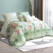 Picture of AKEMI Tencel Modal Tickle Fun Quilt Cover Set 880TC (Super Single/ Queen/ King) - Woodland Friends