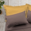 Picture of ai by AKEMI ColourJoy Collection Fitted Sheet Set | 100% MicroXT 550TC - Sandcastle Brw (Super Single/Queen/King)