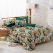 Picture of ai by AKEMI Jollie Collection Fitted Sheet Set| Easy Care Cotton 680TC - Zanison (Super Single/Queen/King)