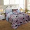 Picture of AKEMI Cotton Essentials Jovial Kids Comforter Set 650TC - Dear Moon (Super Single/ Queen/ King)