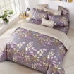 Picture of AKEMI Cotton Select Adore Fitted Sheet Set 730TC  - Maleia (SS/ Q/ K)