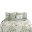 Picture of AKEMI Cotton Select Adore Fitted Sheet Set | 100% Cotton 730TC  - Tonstinz (SS/ Q/ K)