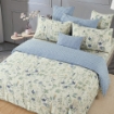 Picture of AKEMI Cotton Select Adore Quilt Cover Set | 100% Cotton 850TC  - Felysse (SS/ Q/ K)