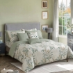 Picture of AKEMI Cotton Select Adore Quilt Cover Set | 100% Cotton 730TC  - Tonstinz (SS/ Q/ K)