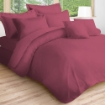 Picture of AKEMI Cotton Essentials Colour Home Divine Fitted Sheet Set 600TC  - Flamingo Pink (SS/ Q/ K)