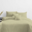 Picture of AKEMI Cotton Essentials Colour Home Divine Fitted Sheet Set 600TC  - Sunny Wheat (SS/ Q/ K)