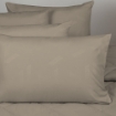 Picture of ai by AKEMI Colourkissed Collection Fitted Sheet Set | 100% MicroXT 700TC - Hallie  - Hush Cafe (SS/Q/K)