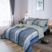 Picture of AKEMI Cotton Essentials Enclave Joy Comforter Set | 100% Cotton 650 TC  - Derbent (SS/ Q/ K)