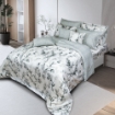 Picture of AKEMI TENCEL™ Touch Serenity Quilt Cover Set |  850TC  - Evangerine (SS /Q/K)