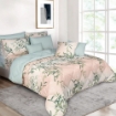 Picture of AKEMI Cotton Essentials Embrace Charm Comforter Set 600TC - Zanya (Super Single/ Queen/ King)