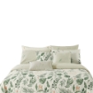 Picture of AKEMI Cotton Select Adore Fitted Sheet Set | 100% Cotton 850TC - Okeli (Super Single/ Queen/ King)