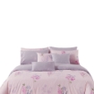 Picture of AKEMI Cotton Select Adore Fitted Sheet Set | 100% Cotton 850TC - Suzette (Super Single/ Queen/ King)