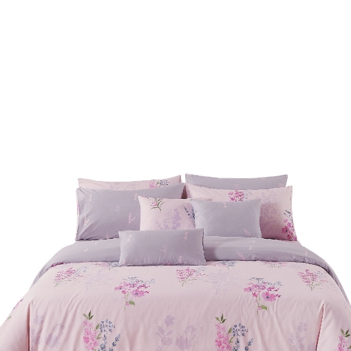 Picture of AKEMI Cotton Select Adore Fitted Sheet Set | 100% Cotton 850TC - Suzette (Super Single/ Queen/ King)