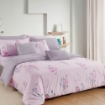 Picture of AKEMI Cotton Select Adore Quilt Cover Set | 100% Cotton 850TC - Suzette (Super Single/ Queen/ King)