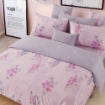 Picture of AKEMI Cotton Select Adore Quilt Cover Set | 100% Cotton 850TC - Suzette (Super Single/ Queen/ King)