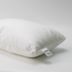 Picture of AKEMI Kids Pureprotect Microfill Pillow (48cm x 37cm) Free 1 pc Pillow Case