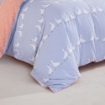 Picture of AKEMI Cotton Select Cheeky Cheeks Fitted Sheet Set 850TC - Waddle Ducks (Super Single/ Queen/ King)