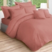 Picture of AKEMI Cotton Essentials Colour Home Divine Fitted Sheet Set 600TC - Pales Rose (Super Single/Queen)