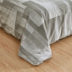 Picture of AKEMI Cotton Select Adore Fitted Sheet Set | 100% Cotton 850TC - Anri (Super Single/ Queen/ King)