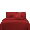 Picture of AKEMI Cotton Select Affinity Quilt Cover Set | 100% Cotton 1200TC - Amori - Summer Red (Super Single/Queen/King)