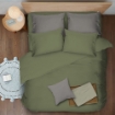 Picture of ai by AKEMI ColourJoy Collection Comforter Set | 100% MicroXT 650TC - Sage Green (Super Single/Queen/King)