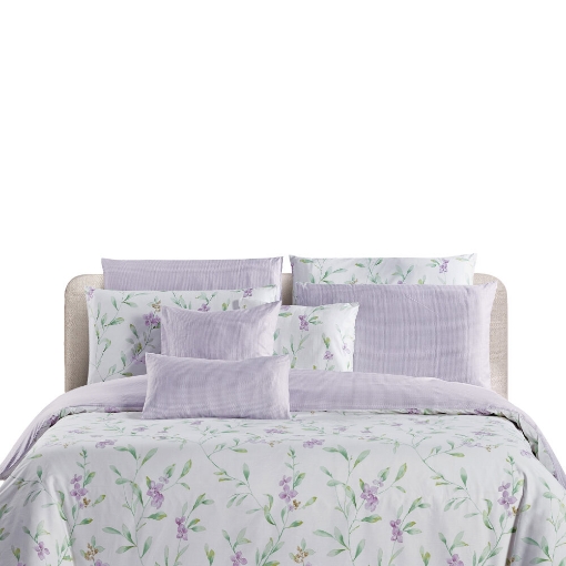Picture of AKEMI Cotton Twill Adore Quilt Cover Set | 100% Cotton 850TC - Orna (Super Single/Queen/King)