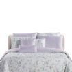 Picture of AKEMI Cotton Twill Adore Fitted Sheet Set | 100% Cotton 850TC - Orna (Super Single/ Queen/ King)