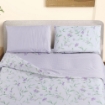 Picture of AKEMI Cotton Twill Adore Fitted Sheet Set | 100% Cotton 850TC - Orna (Super Single/ Queen/ King)