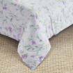 Picture of AKEMI Cotton Twill Adore Fitted Sheet Set | 100% Cotton 850TC - Orna (Super Single/ Queen/ King)
