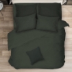Picture of ai by AKEMI Colourkissed Collection Comforter Set | 100% MicroXT 700TC - Tibet Green (Super Single/Queen/King)