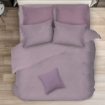 Picture of ai by AKEMI Colourkissed Collection Fitted Sheet Set | 100% MicroXT 700TC - Dove Purple (Super Single/Queen/King)