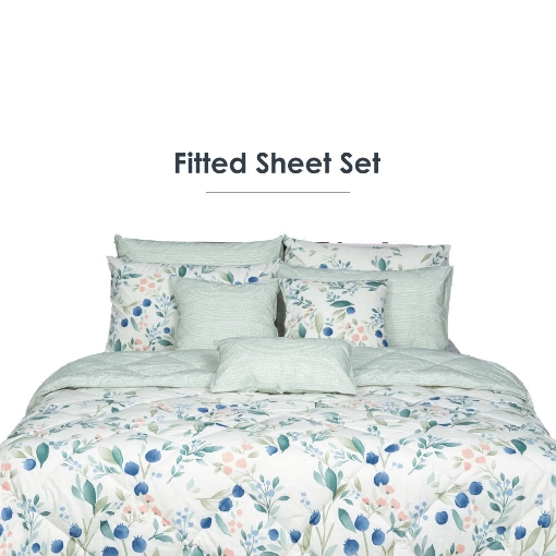 Picture of AKEMI Cotton Essentials Embrace Charm Fitted Sheet Set 600TC - Laminas (Super Single/ Queen/ King)