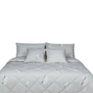Picture of AKEMI Cotton Essentials Jovial Kids Comforter Set 600TC - Sky Drift (Super Single/ Queen/ King)