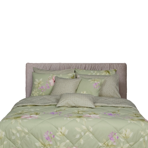 Picture of AKEMI Cotton Essentials Enclave Joy Fitted Sheet Set | 100% Cotton 650TC - Asha (Super Single/ Queen/ King)