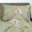 Picture of AKEMI Cotton Essentials Enclave Joy Fitted Sheet Set | 100% Cotton 650TC - Asha (Super Single/ Queen/ King)