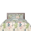 Picture of AKEMI Cotton Essentials Enclave Joy Fitted Sheet Set | 100% Cotton 650TC - Auretta (Super Single/ Queen/ King)